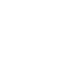 play icon